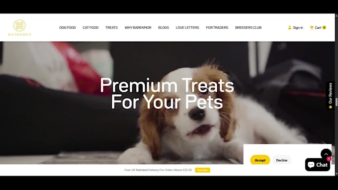 build pet shopify store setup pet website design dog cat shopify store redesign