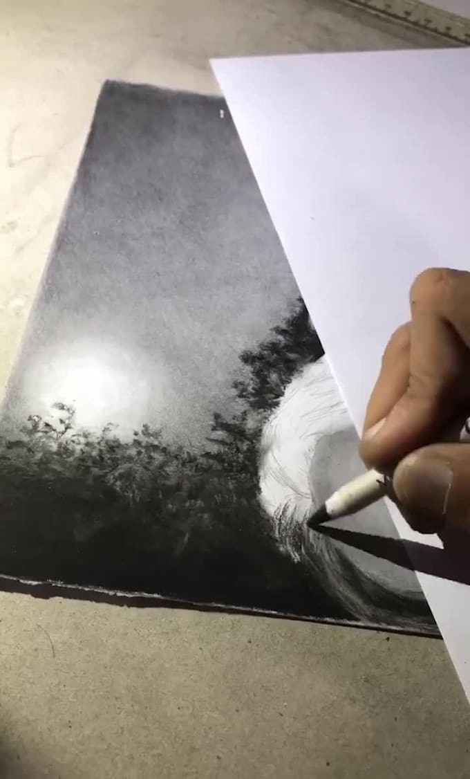 draw realistic pencil, pen, or charcoal drawings from a photo or your idea