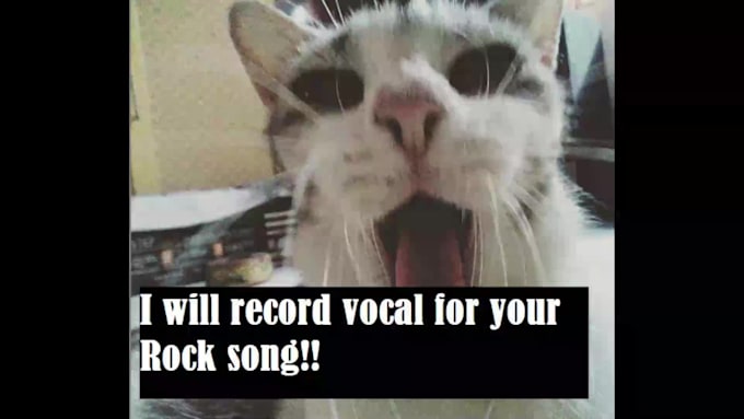 record male vocals for your punkrock and grunge