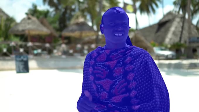 do professional vfx rotoscoping,green screen,roto paint