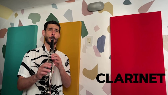 record clarinets, saxophones, harmonica and recorder for you
