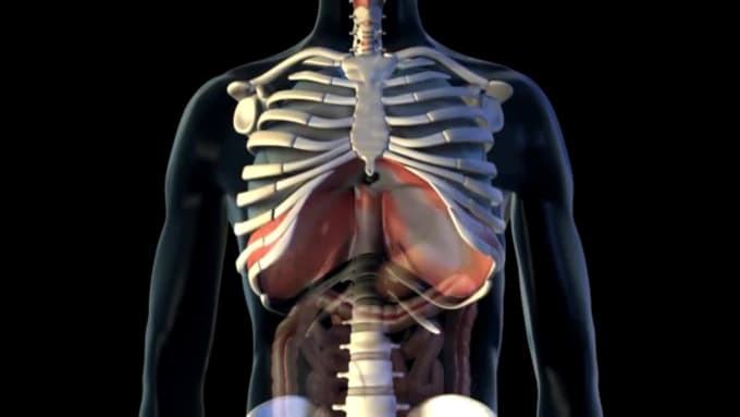 Do 3d medical animation video, medical animation, medical illustration ...