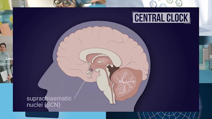 create an interactive scientific powerpoint for research, funding, or teaching