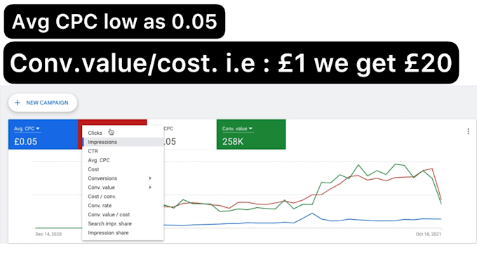setup google PPC ads campaign and do face to face review