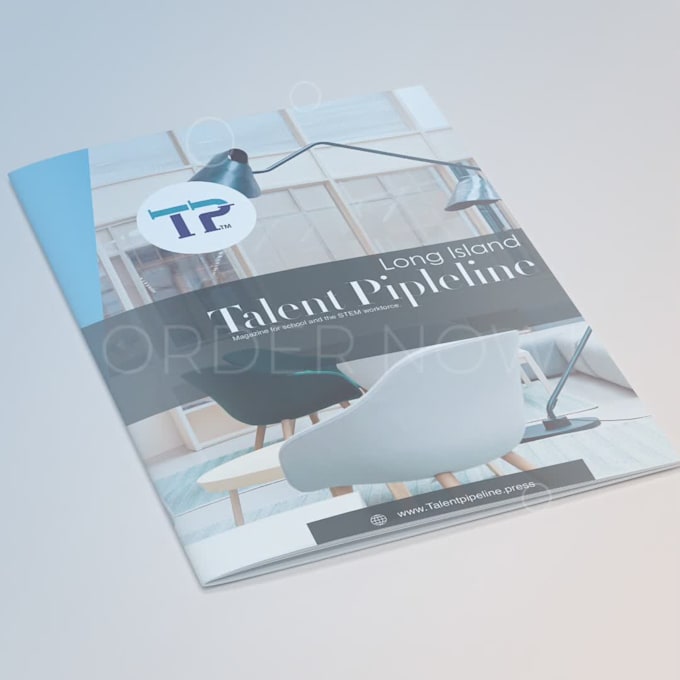 design a professional flyer or brochure