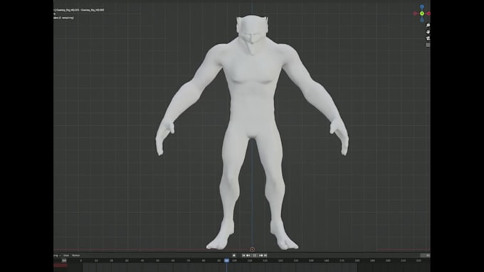 assist with custom animations, modeling and rigging