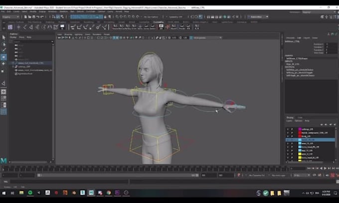 do 3d character rigging in cinema 4d , maya and blender