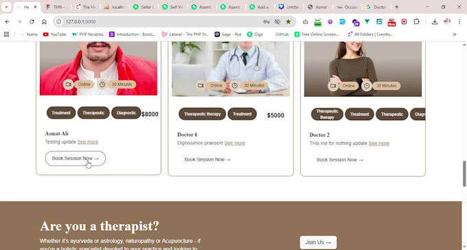 make amazing with us vue js and laravel or update project