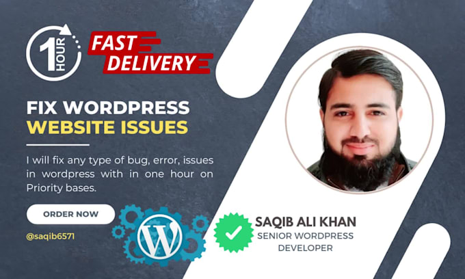 fix any wordpress issues, errors and bugs in 1 hour