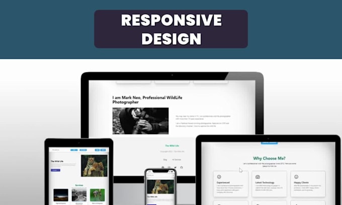 be reactjs or mern stack web developer for web development