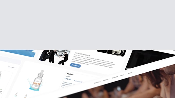 build professional responsive wordpress website