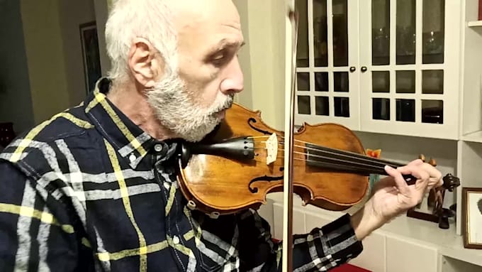teach the violin from beginner up to advanced level