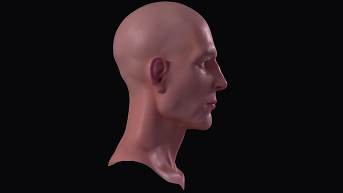 model and texture realistic or stylized head for character