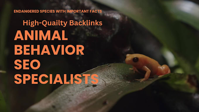 uplift your animals and pets blog by highquailty backlinks spain origin