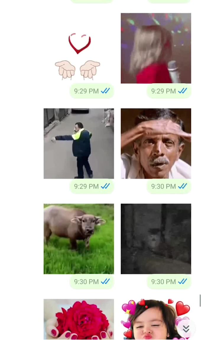 make animated stickers for whatsapp or telegram