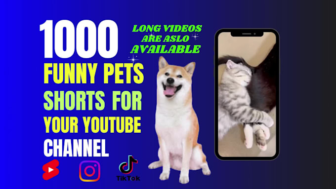 create 1000 funny pets youtube shorts or reels