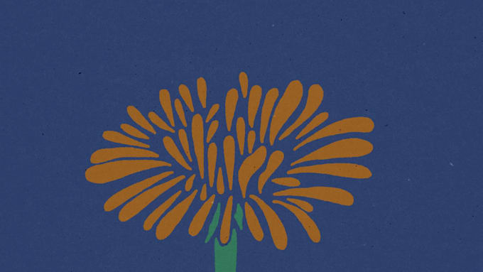 create hand drawn rotoscope animated video