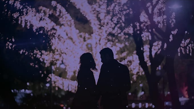 create a professional slideshow from your images