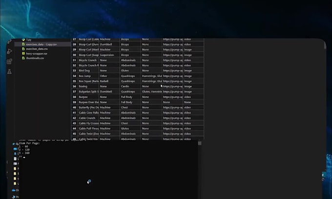 develop python bots, automation scripts, data scrapers, and automate jobs