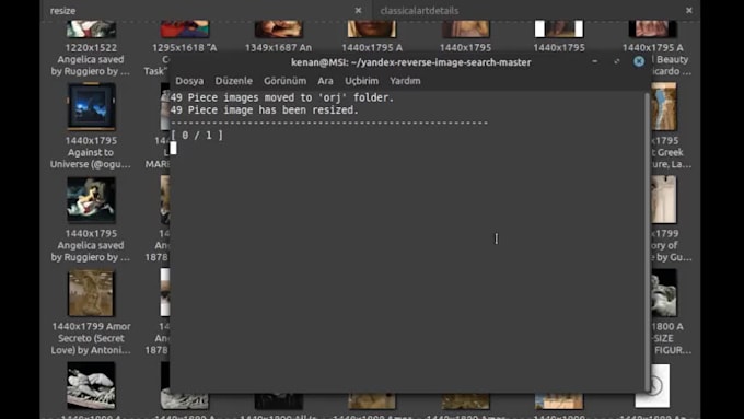 develop a custom yandex reverse image search tool for brand and content monitori