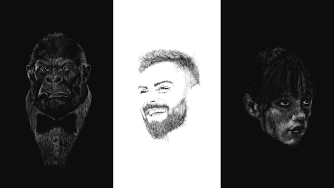 draw your portrait with a timelapse video