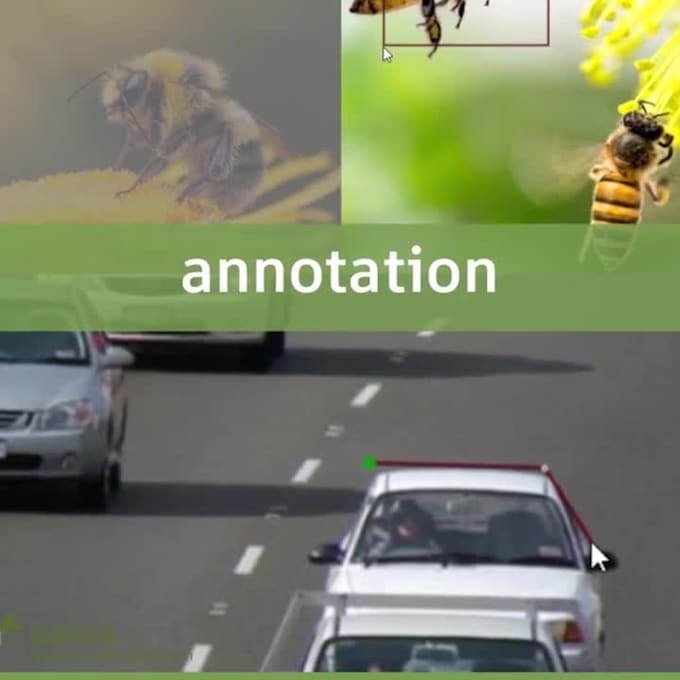 do image annotation, labeling, dataset collection for computer vision, ml