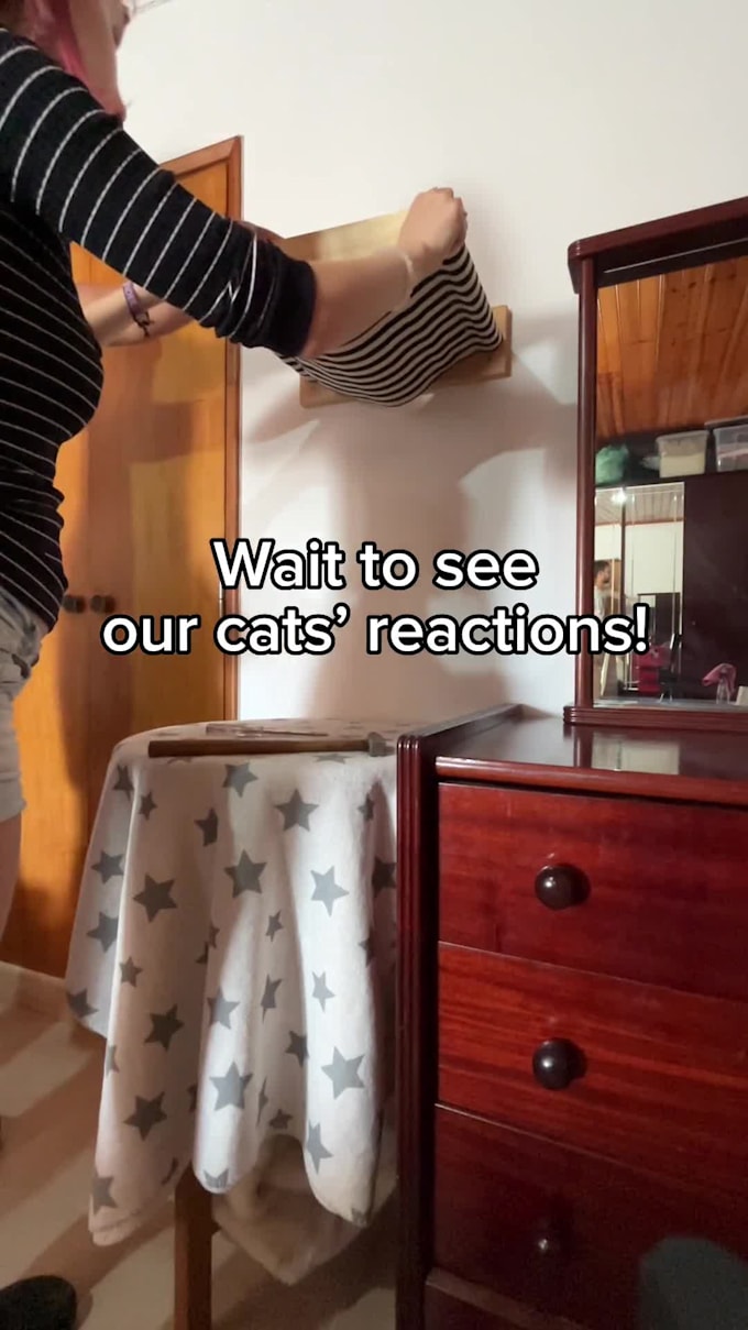 create a fun ugc video for your pet brand