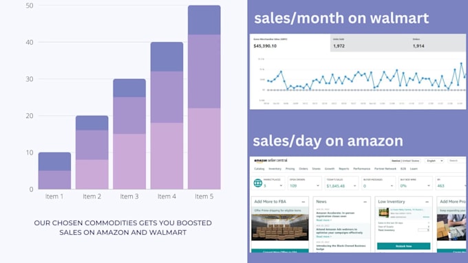 do amazon walmart ebay safe dropshipping 2step expert VA
