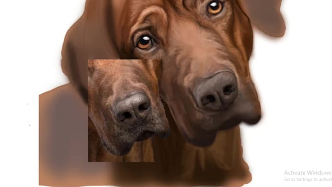 draw digital pet illustration