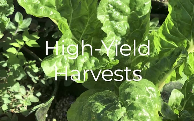 hydroponic vertical system design fix optimize