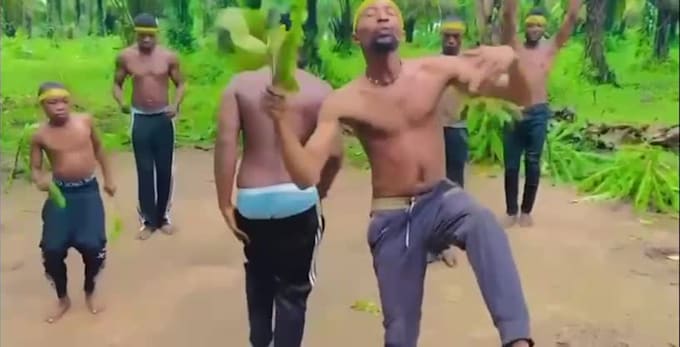 african happy birthday video african happy birthday video