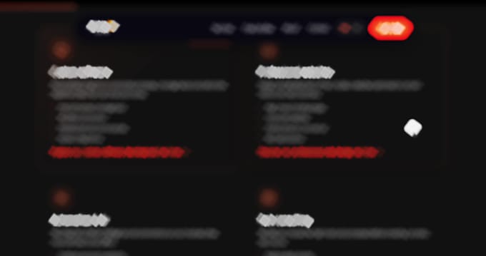 build custom software and profesional websites