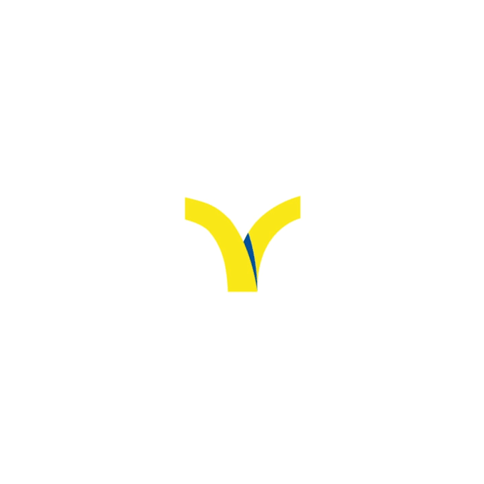 create premium modern logo reveal