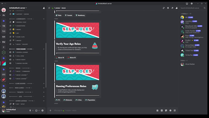 design a professional and premium discord server