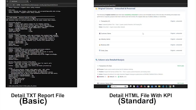 clean excel and CSV data with premium HTML and txt reports