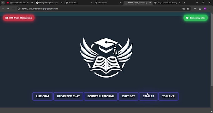 build a professional full stack web application