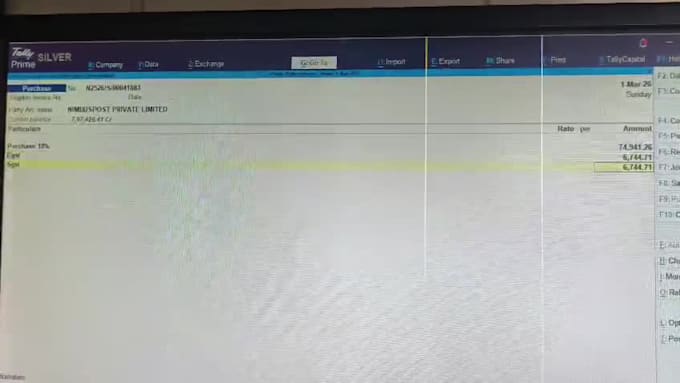 handle your gst, itr, tds and complete accounting work