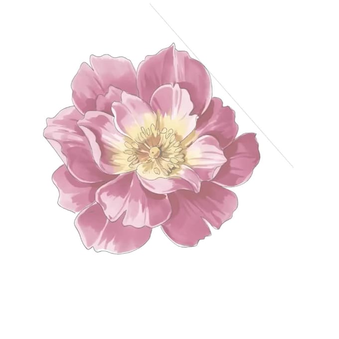 create a custom pattern illustration for your project