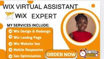 be a virtual assistant for wordpress, shopify, woocommerce and wix