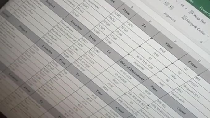 do excel data entry and clean up your spreadsheet