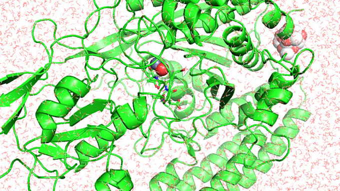 perform a molecular dynamics simulation using gromacs