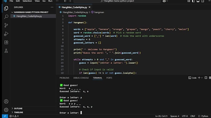 code custom python applications, programs, and scripts for you