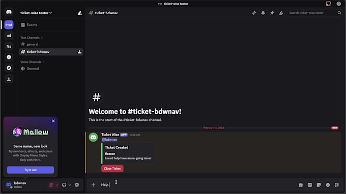 develop a professional custom discord bot using discordjs
