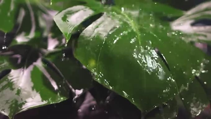 write authentic wellness content that emotionally connects