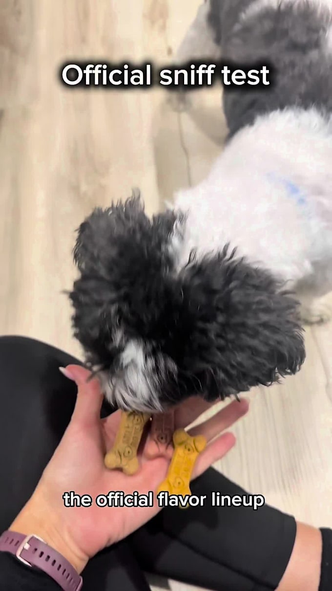 create authentic dog ugc videos for your pet brand