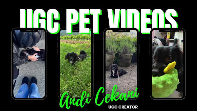 create premium ugc pet videos featuring my dog