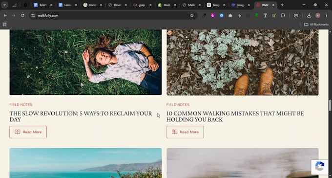 expert shopify store development and customization