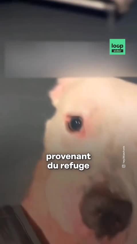 voix feminine grave professionnelle