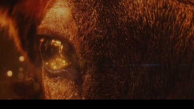 do vfx compositing and cinematic cgi for films