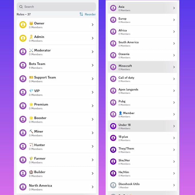 setup a professional custom discord server